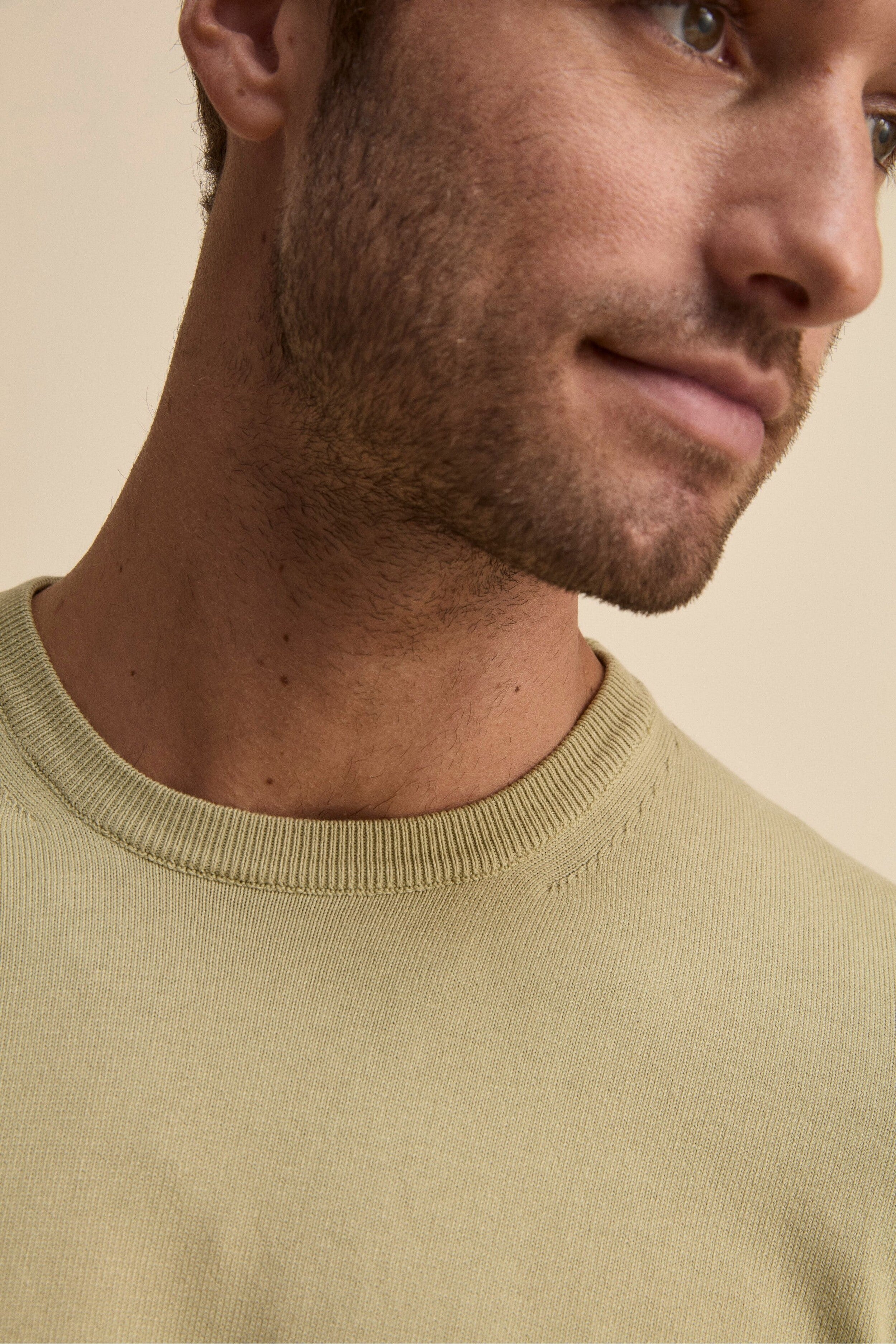 Maglia girocollo in cotone - SALVIA