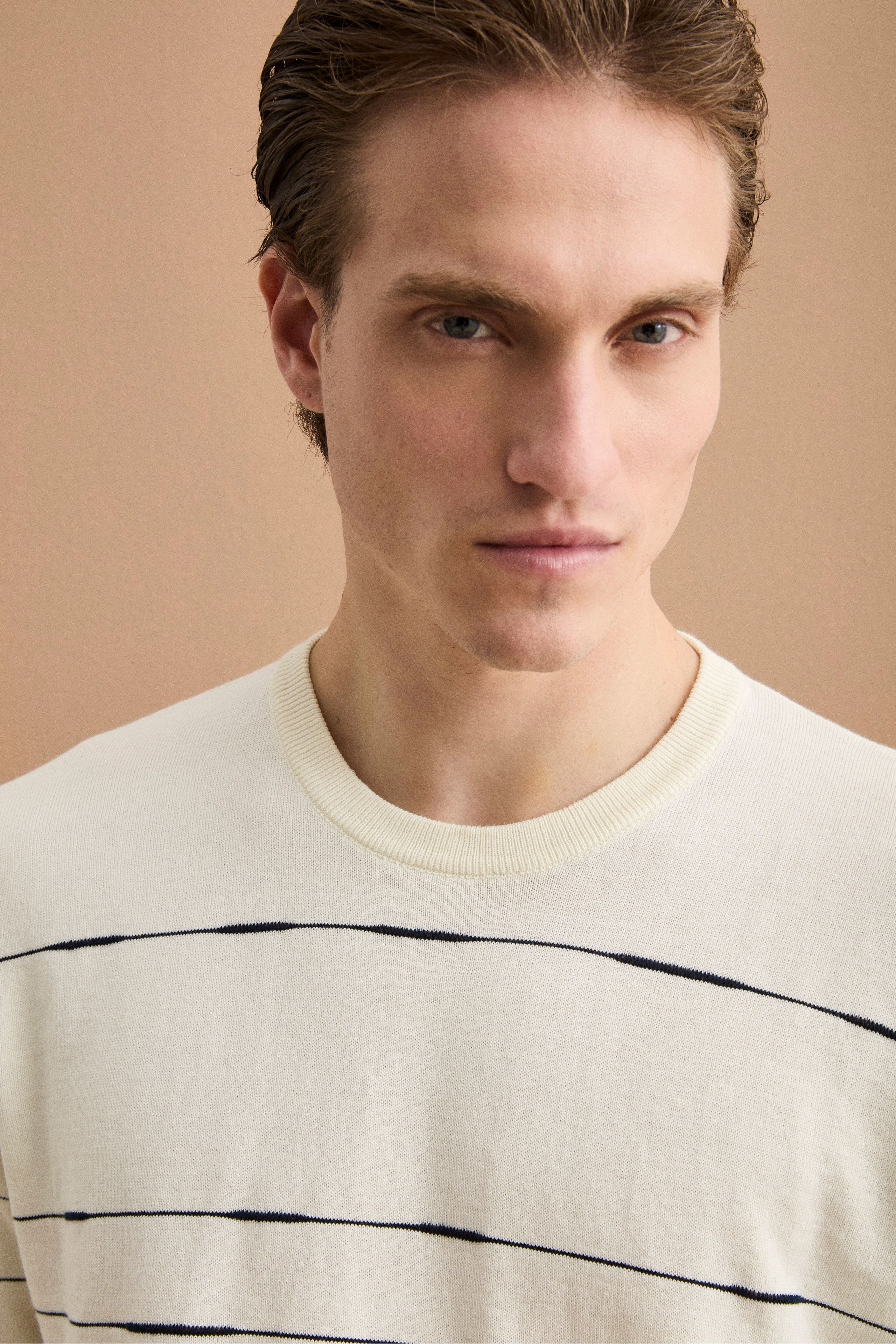 Maglia Girocollo a Righe Regular Fit in Cotone - BIANCO/BLU