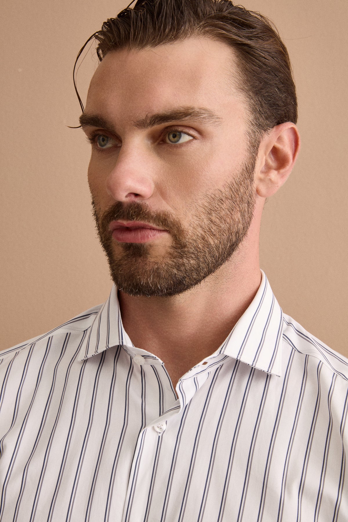Camicia a Righe in Cotone con Collo Classico Regular Fit - RIGATO BLU