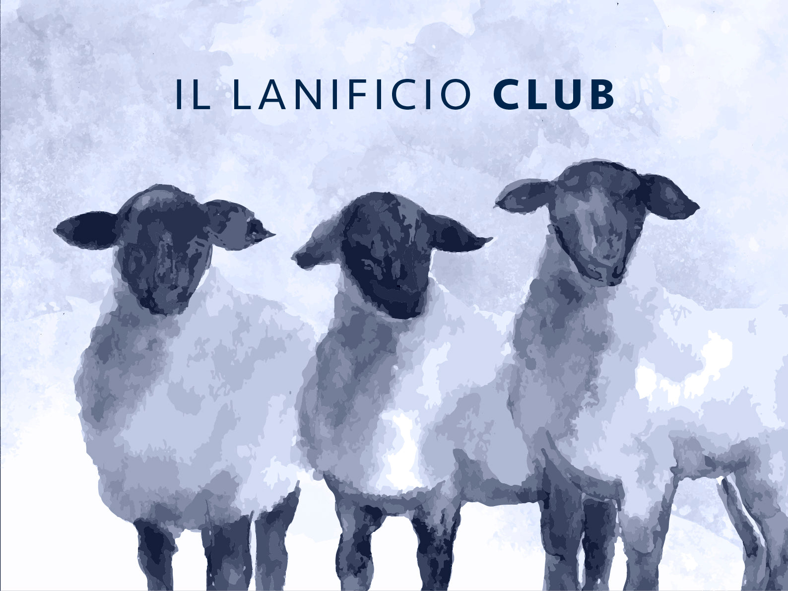 Grafica IL Lanificio Club