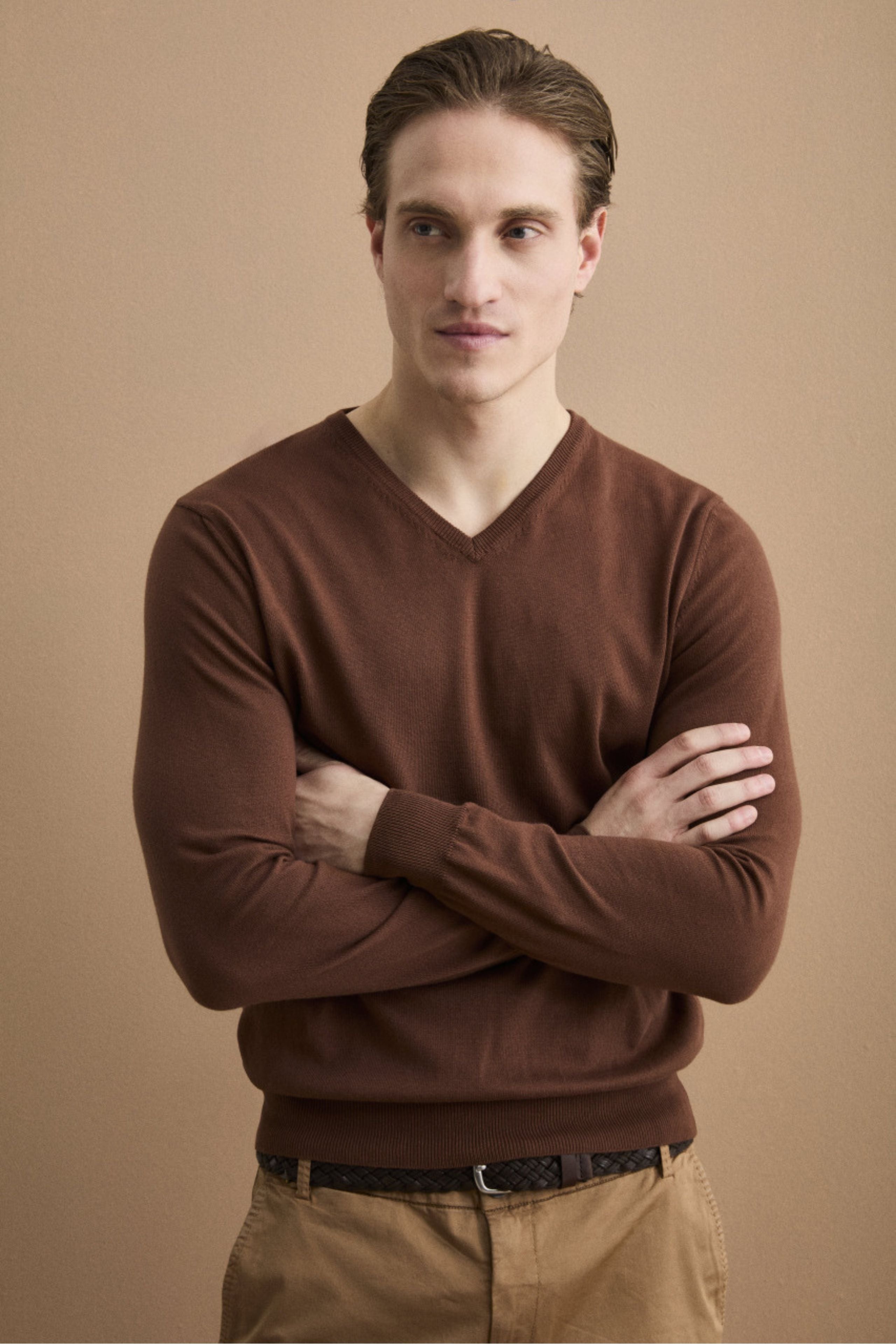 Maglia Scollo a V Regular Fit in Cotone - MARRONE