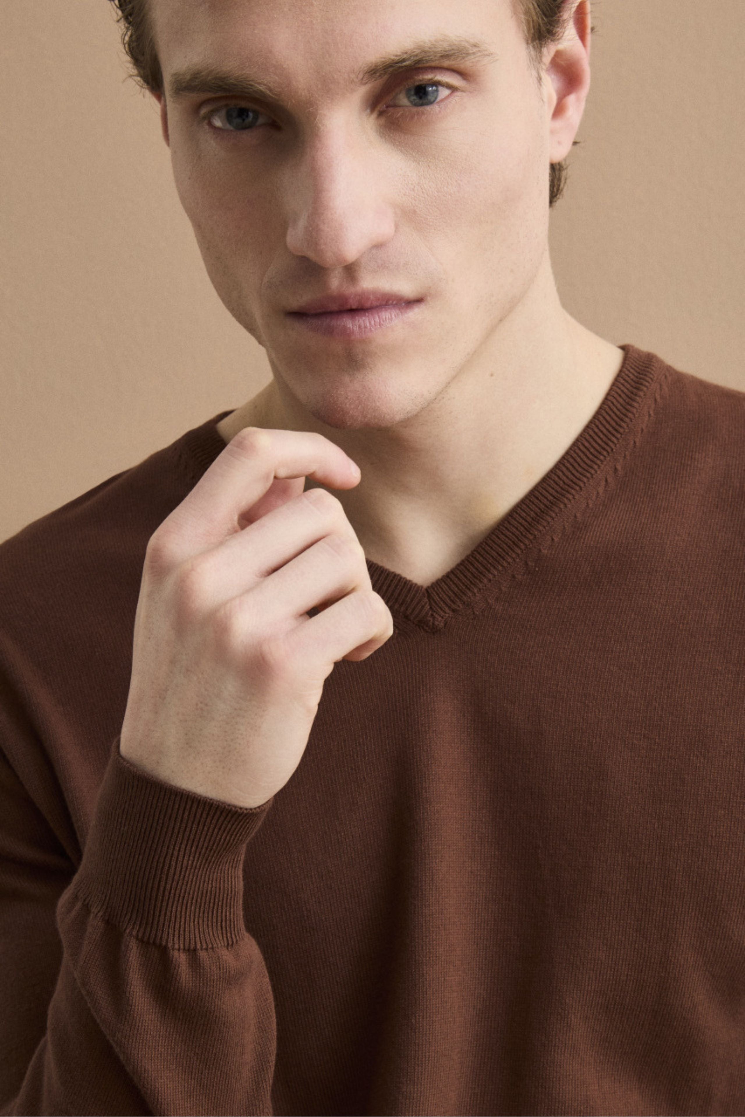 Maglia Scollo a V Regular Fit in Cotone - MARRONE