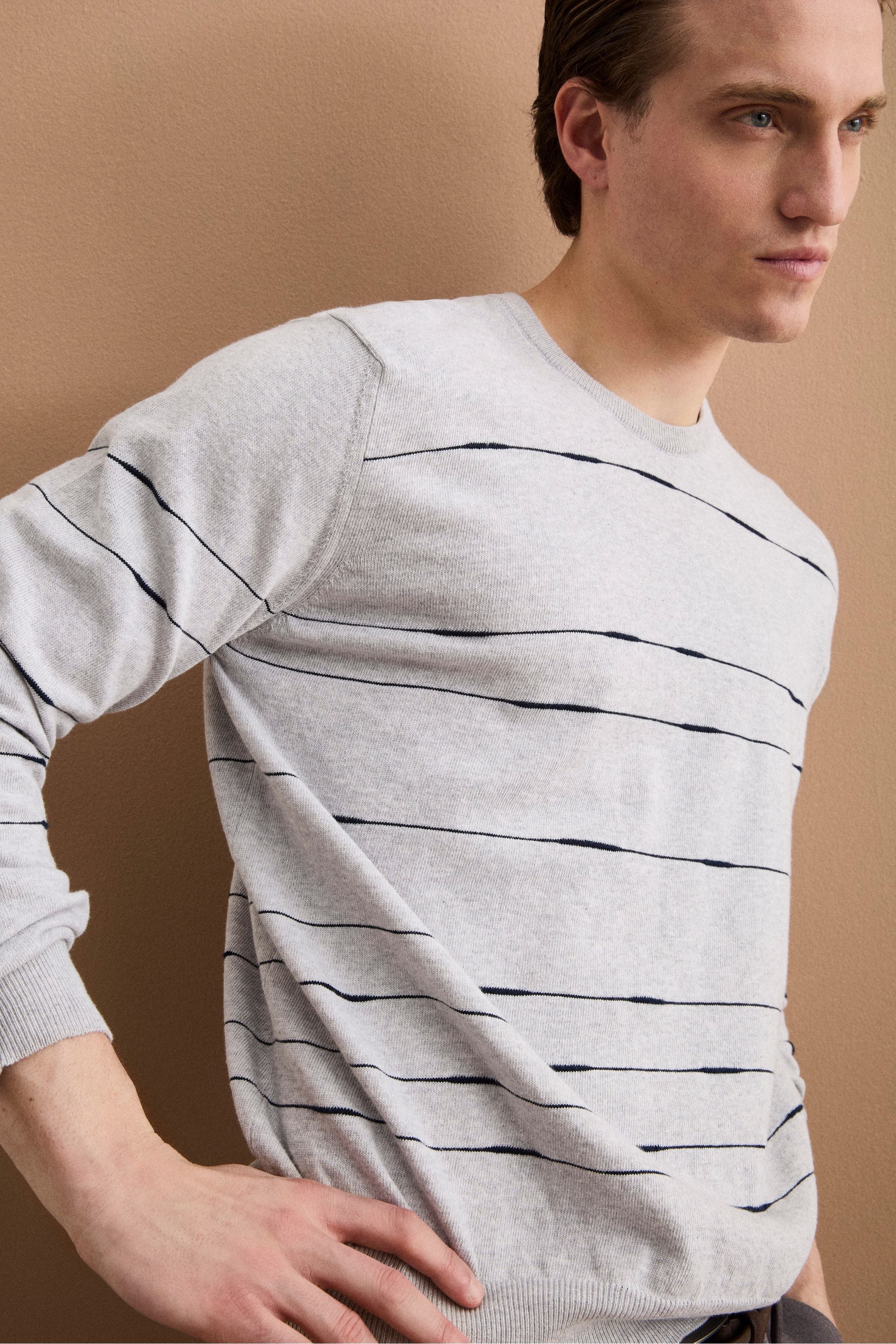 Maglia Girocollo a Righe Regular Fit in Cotone - GRIGIO/BLU