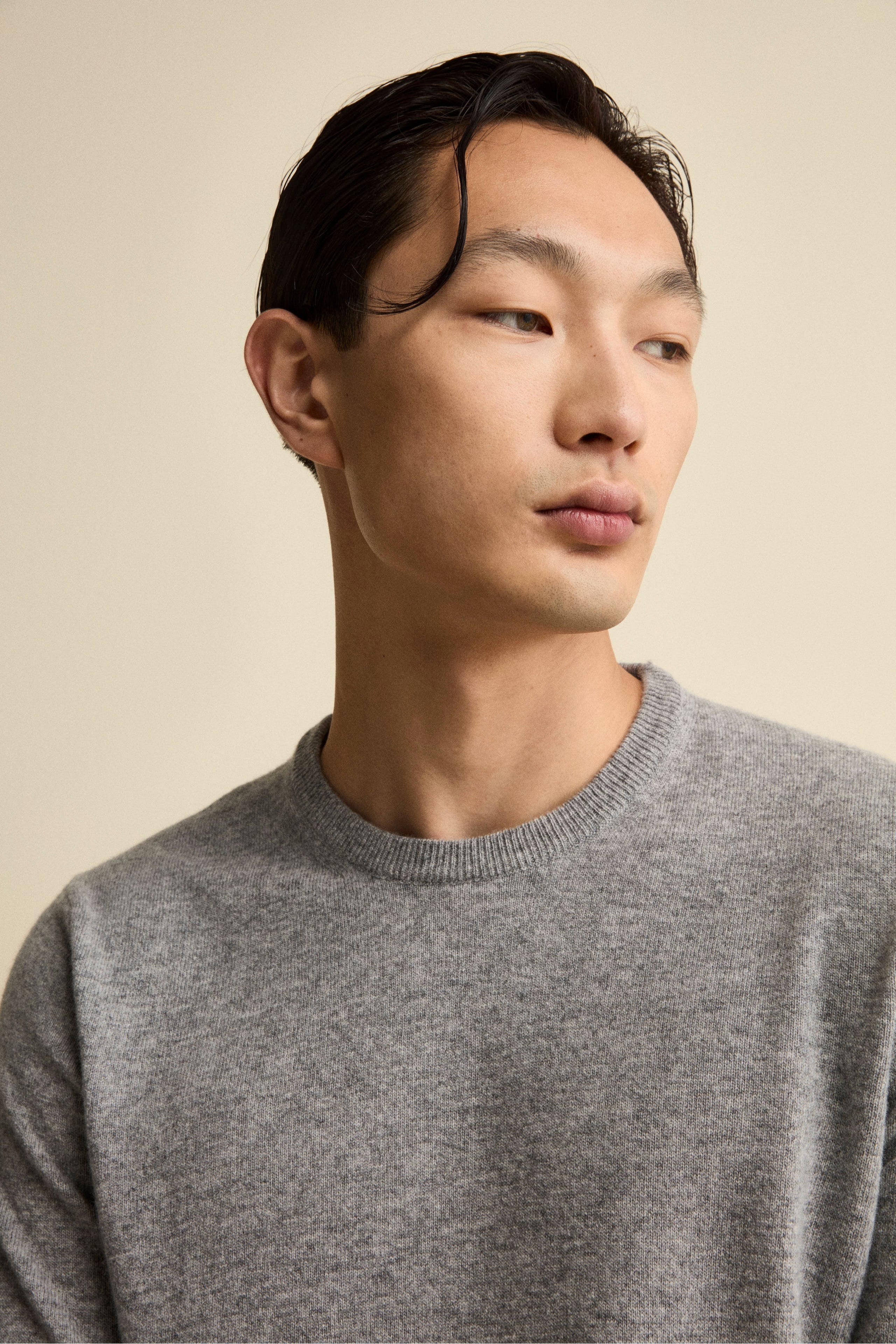 Maglia Girocollo Regular Fit in Lana Merino - GRIGIO MELANGE