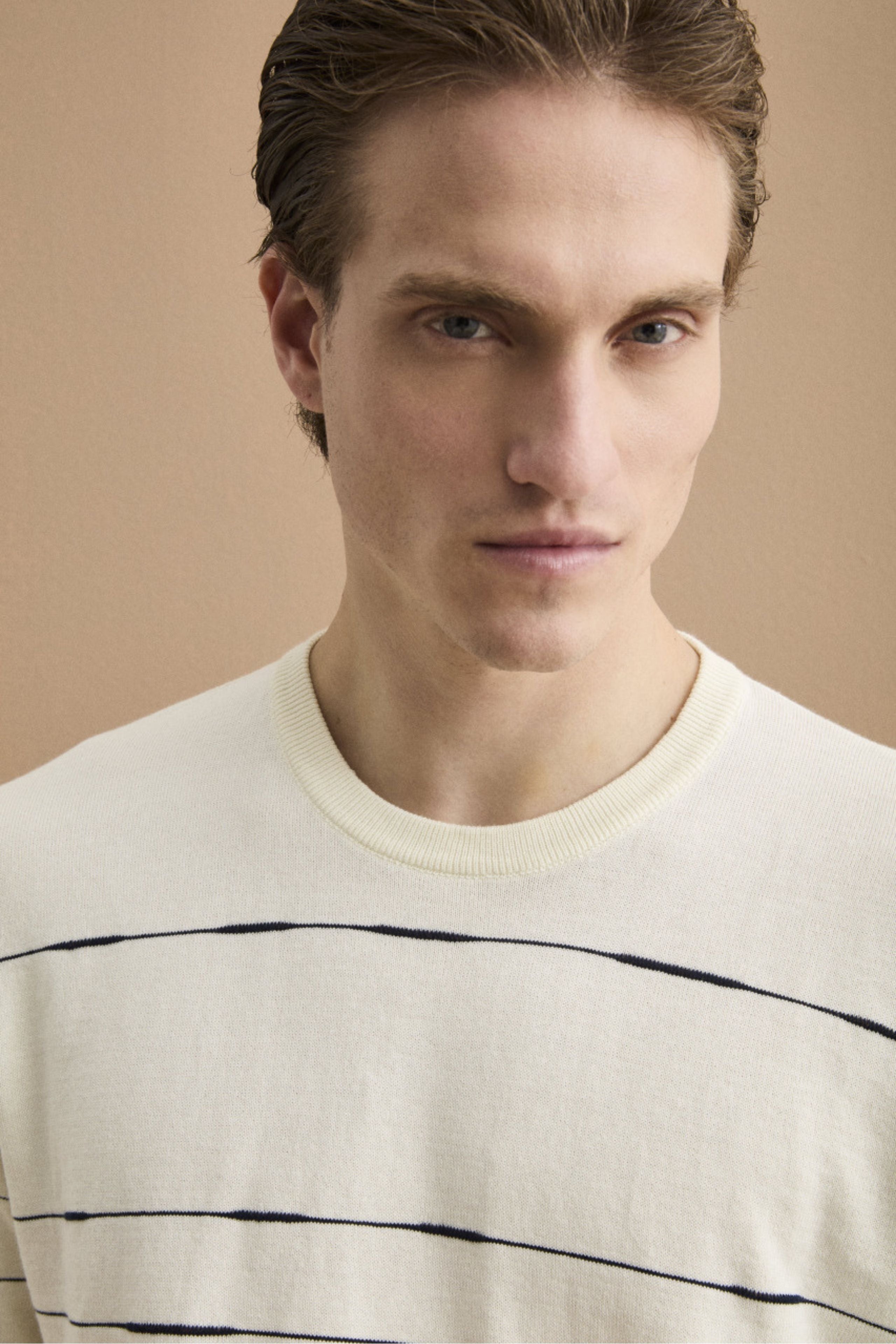 Maglia Girocollo a Righe Regular Fit in Cotone - BIANCO/BLU