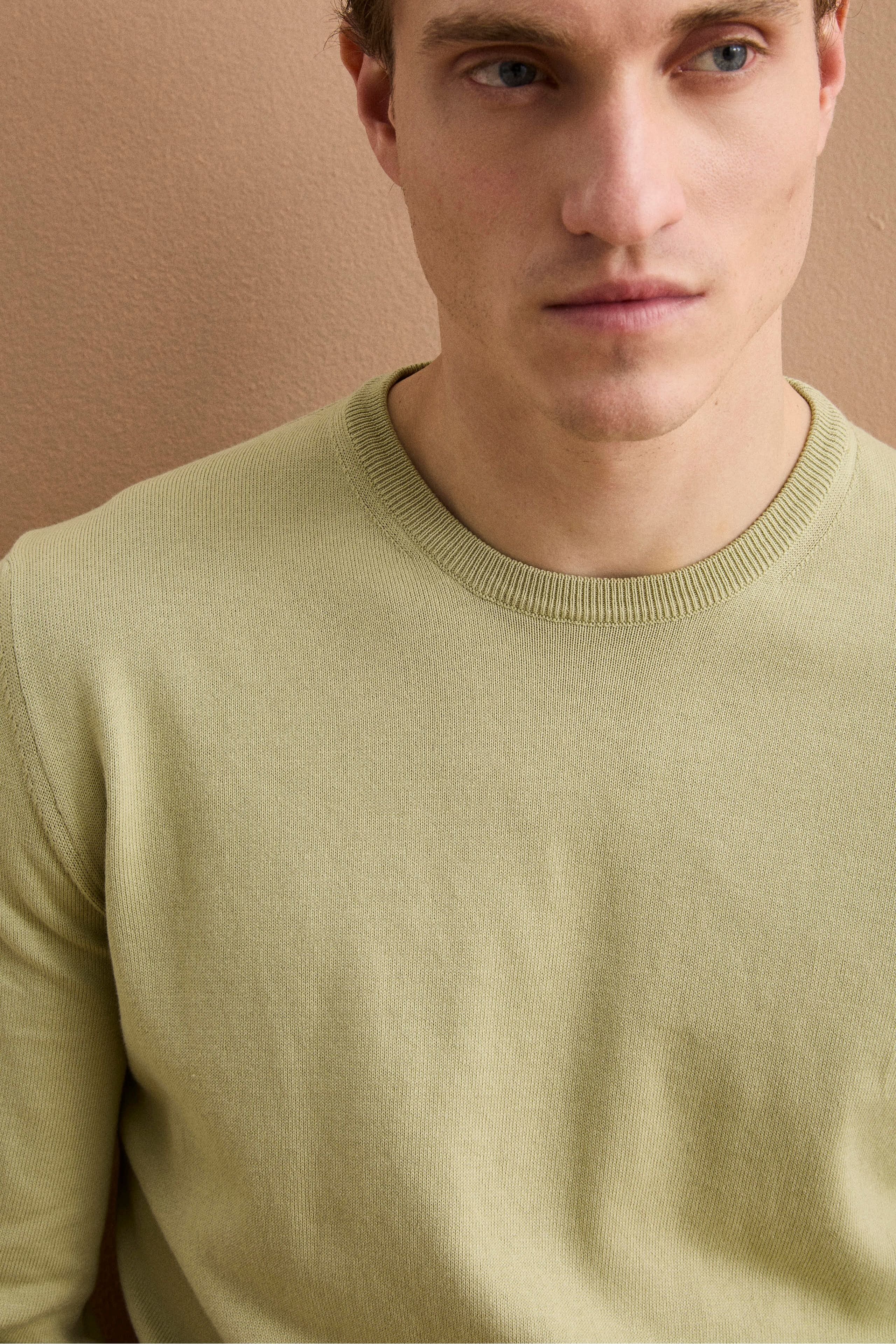 Maglia girocollo in cotone - SALVIA