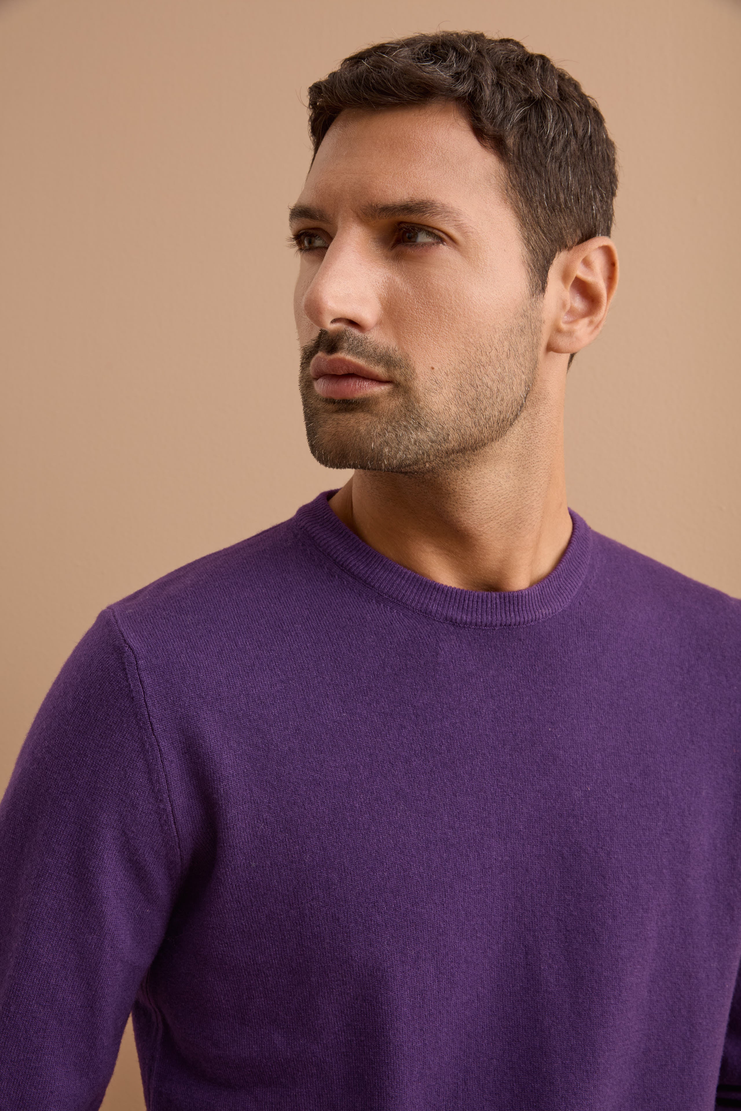Maglia Girocollo in Pura Lana Merino - VIOLA