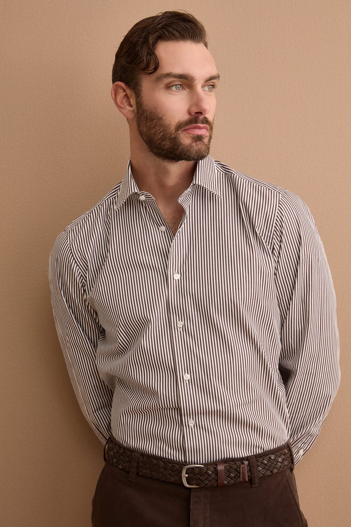 Camicia a Righe in Cotone con Collo Classico Regular Fit - RIGATO MARRONE B/BIANCO