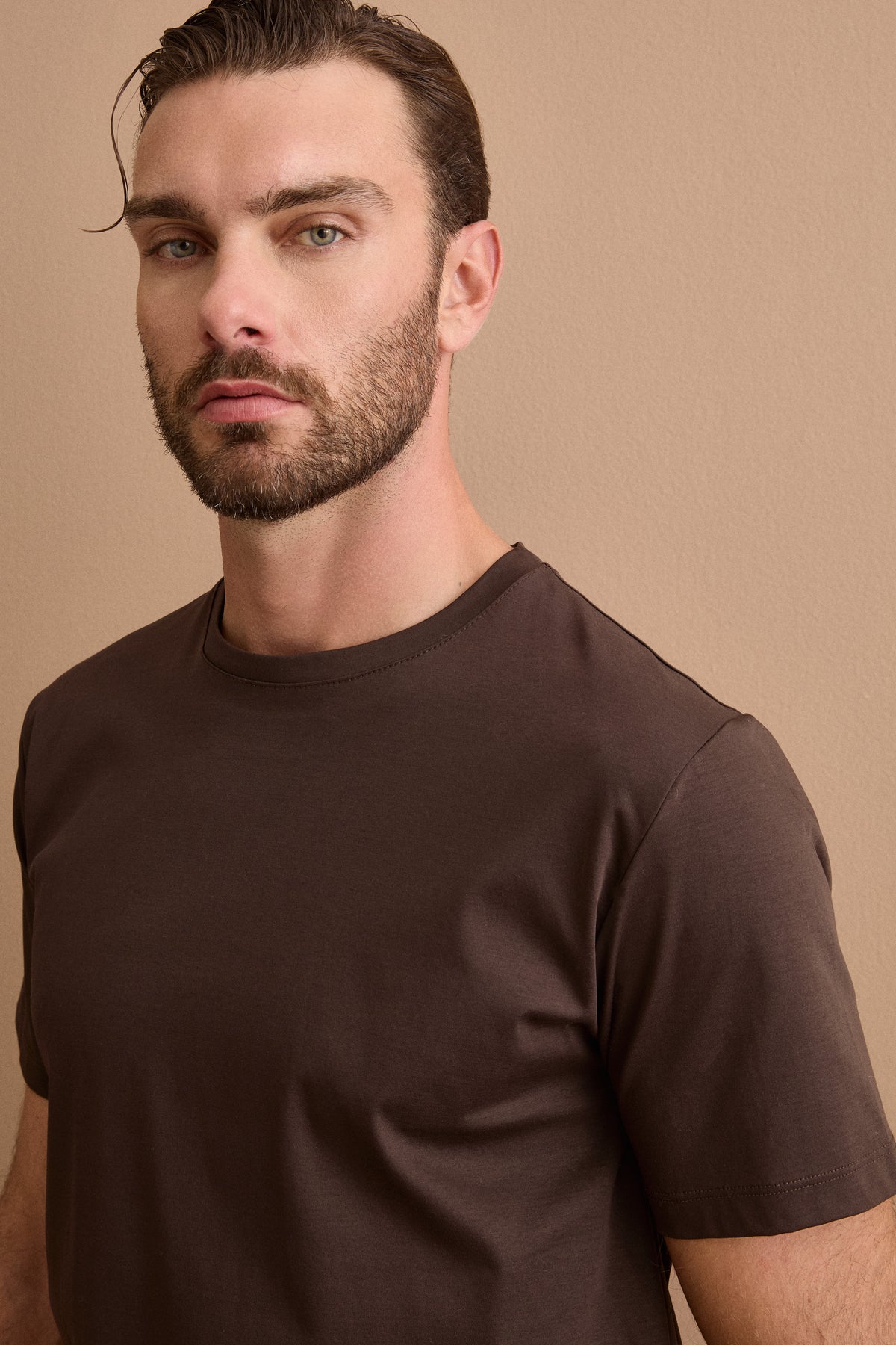 T-Shirt Girocollo in Puro Cotone - MARRONE